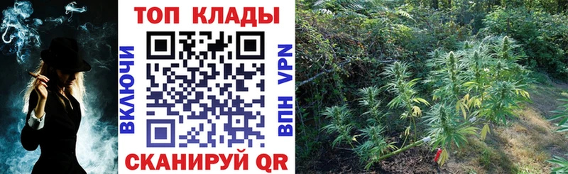 БУТИРАТ Пролетарск