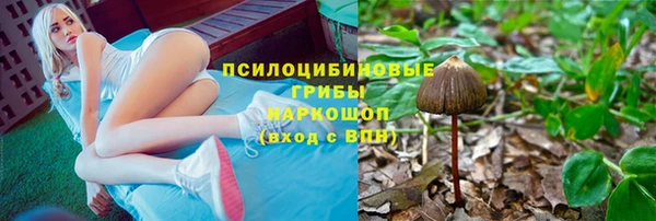 СК Переславль-Залесский