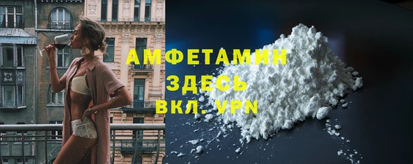 дживик Пересвет