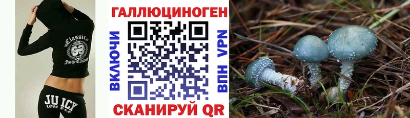 закладка  нарко площадка какой сайт  Псилоцибиновые грибы Magic Shrooms  Пролетарск 